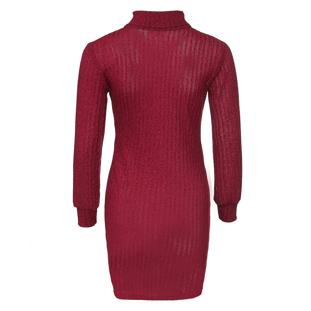 Turtleneck Slim Long Sleeve Dress