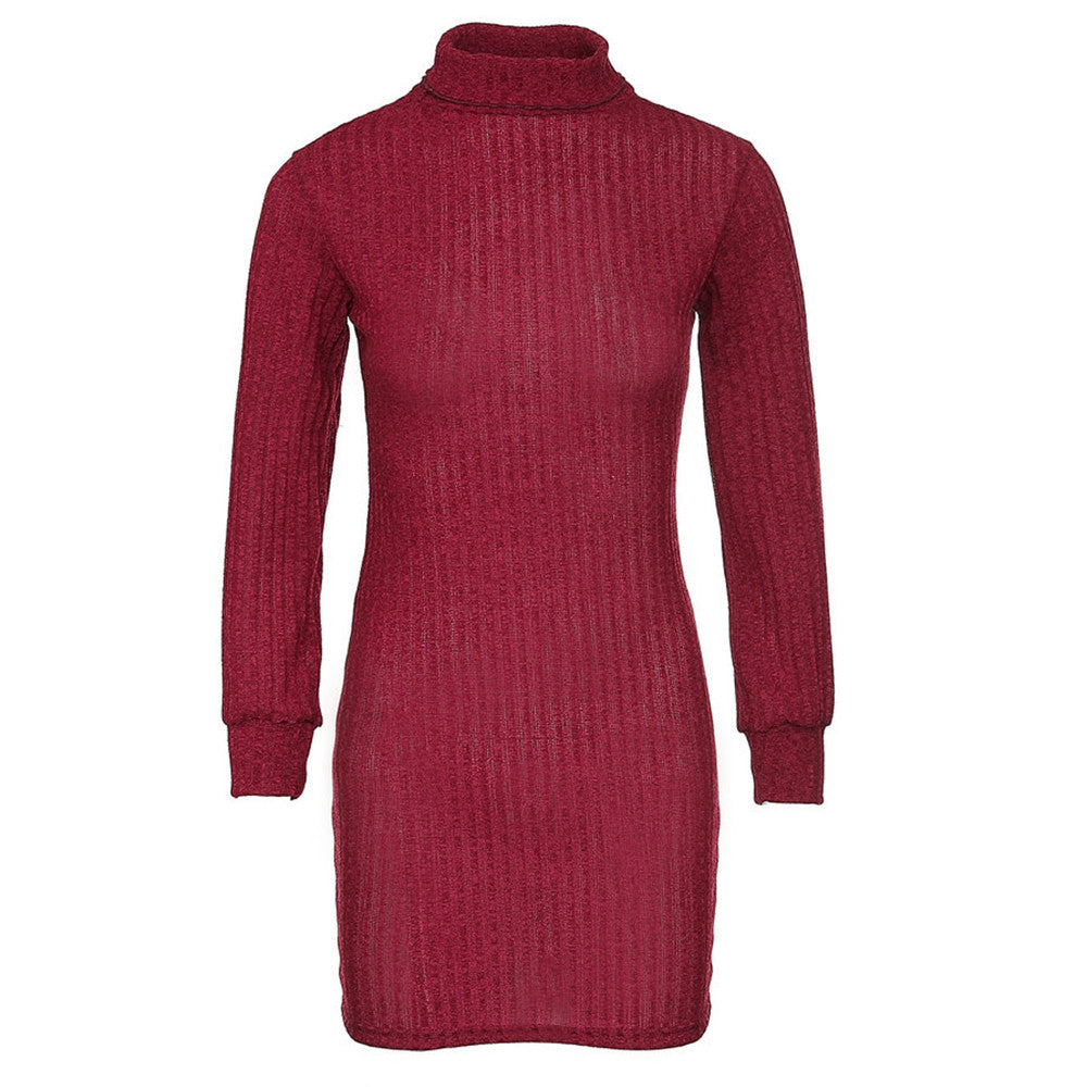 Turtleneck Slim Long Sleeve Dress