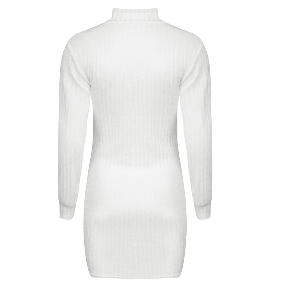 Turtleneck Slim Long Sleeve Dress