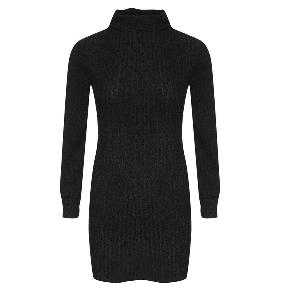 Turtleneck Slim Long Sleeve Dress