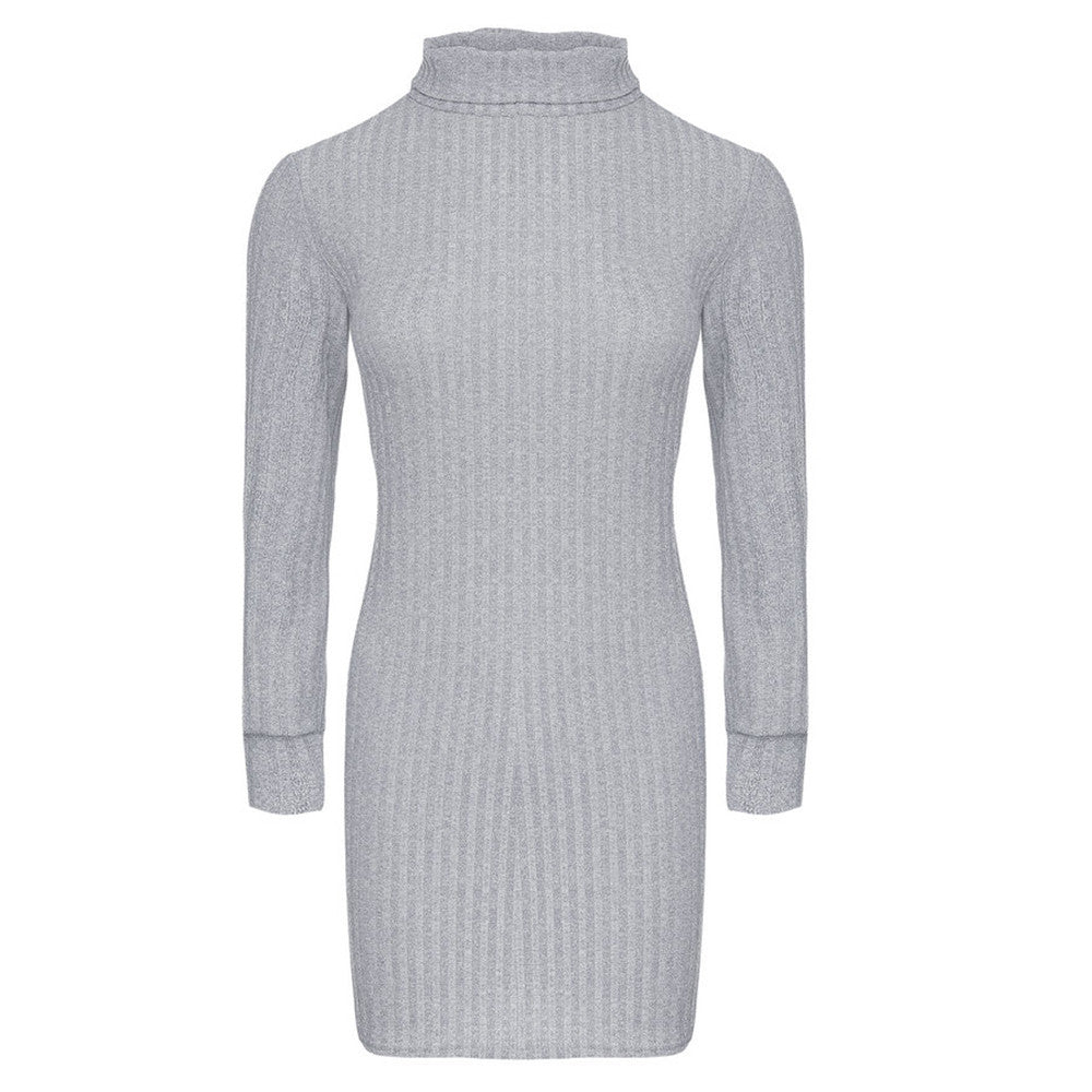 Turtleneck Slim Long Sleeve Dress