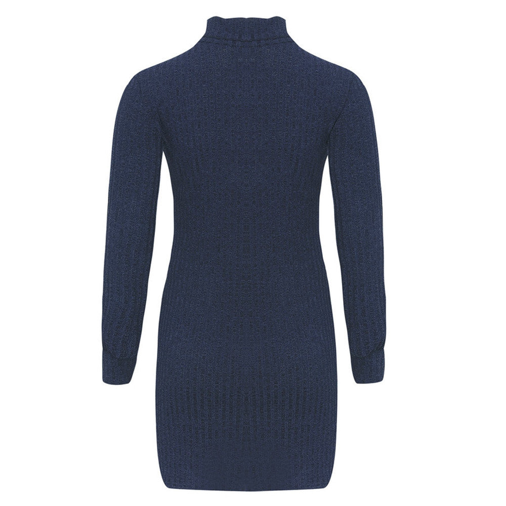 Turtleneck Slim Long Sleeve Dress