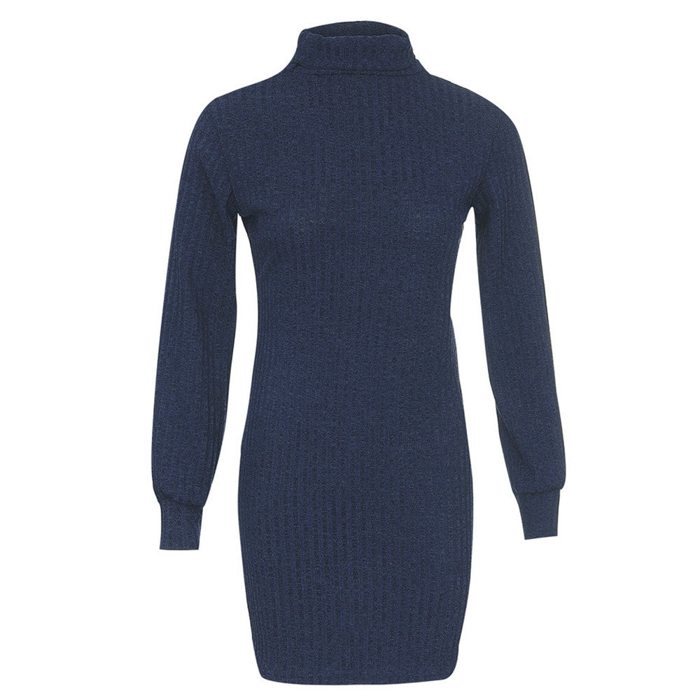 Turtleneck Slim Long Sleeve Dress