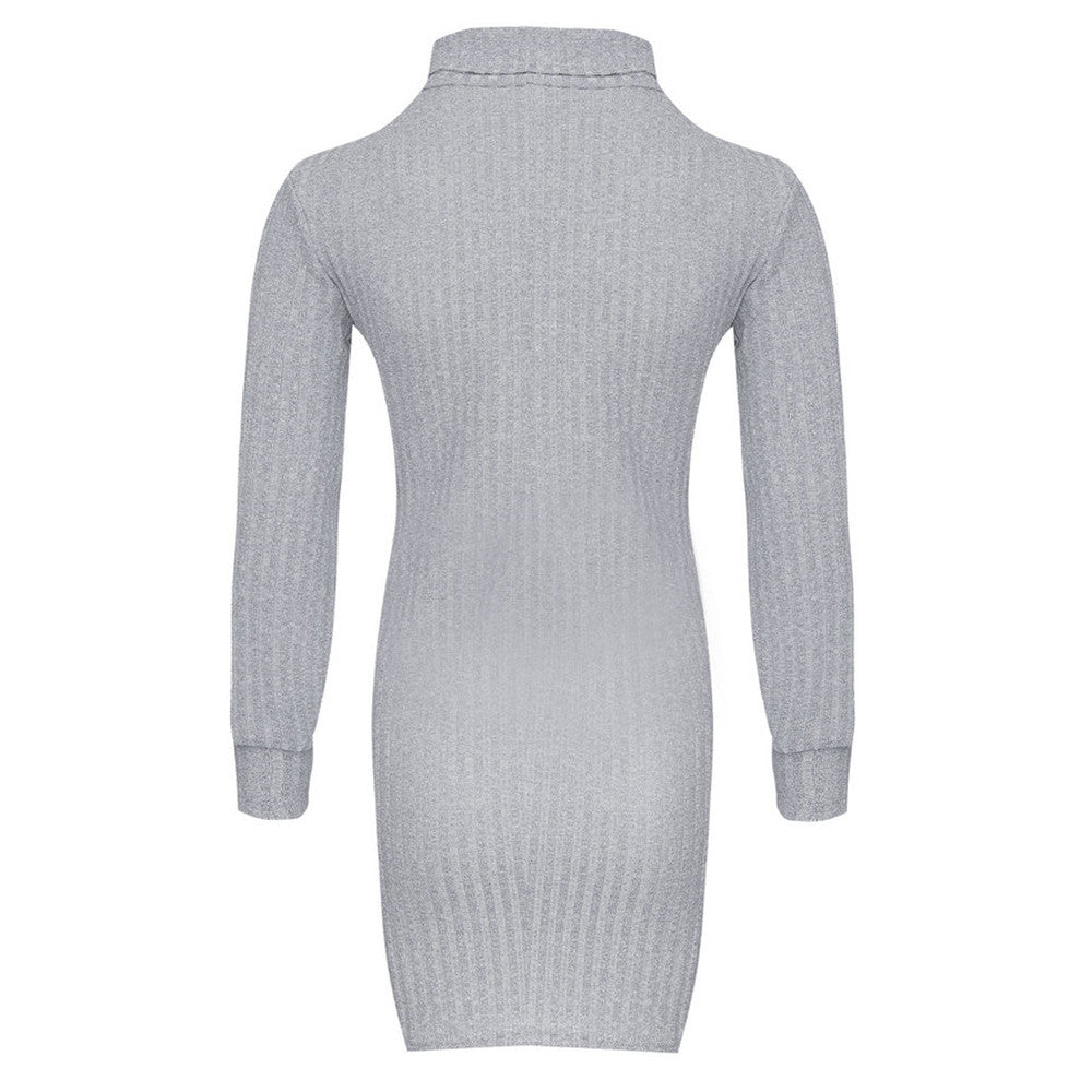 Turtleneck Slim Long Sleeve Dress